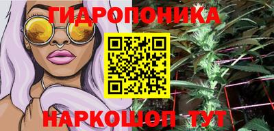 амф Тверь