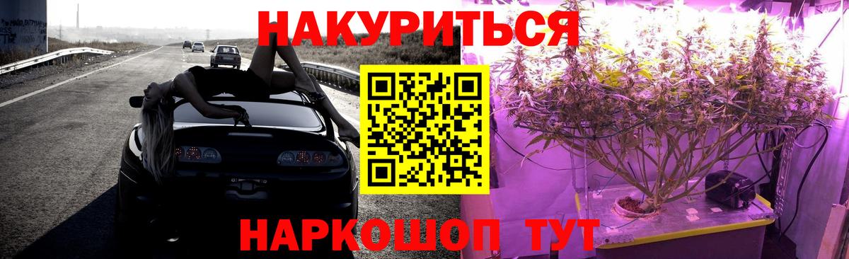 Бошки Шишки семена  Бошки Шишки THC 21%  МАРИХУАНА тримм  Рубцовск  Вход с VPN  Конопля сатива 